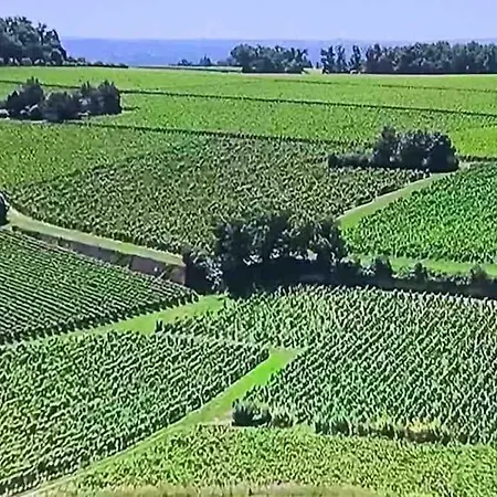 Beautiful Close St Emilion & Bordeaux * Либурн